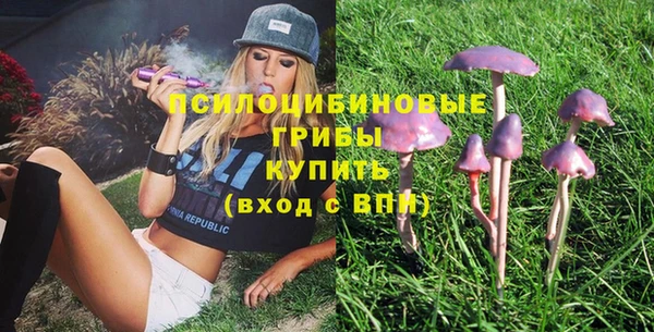 дмт Семилуки
