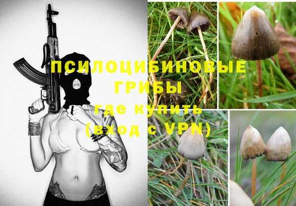 кокс Баксан