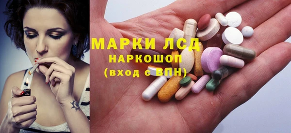ГАЛЛЮЦИНОГЕННЫЕ ГРИБЫ Семёнов